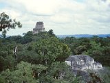 Tikal5.jpg